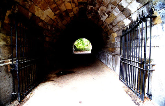 🌸Embrace Spring Time~ Special offer !🌸