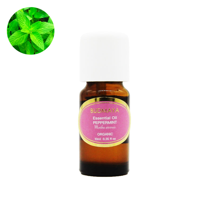 Organic Peppermint Japanese  Essential Oil